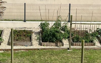 Jardinons avec les ainés !